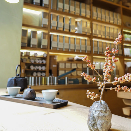 Must-visit tea places in Prague