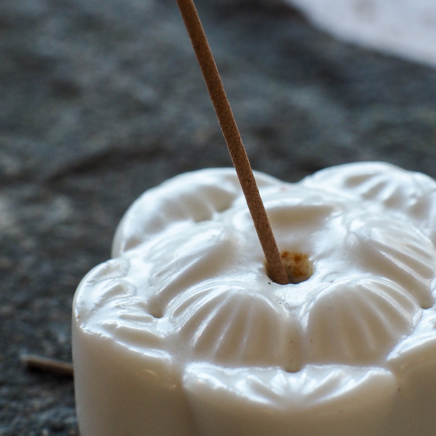 Lotus Mooncake