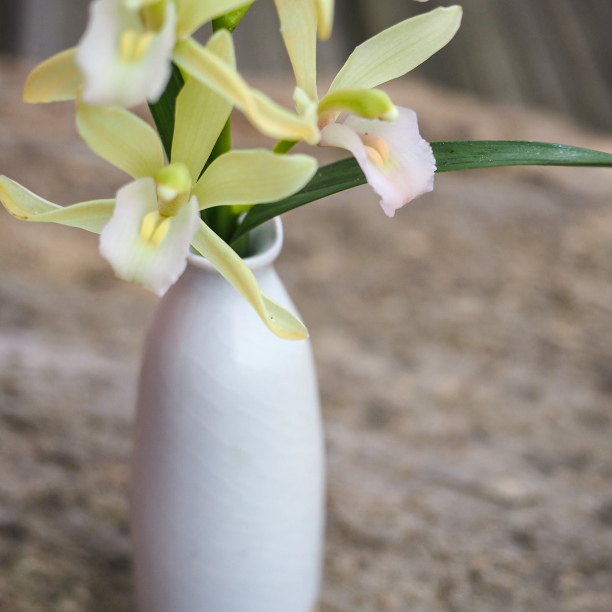 Woodfired Porcelain Vase