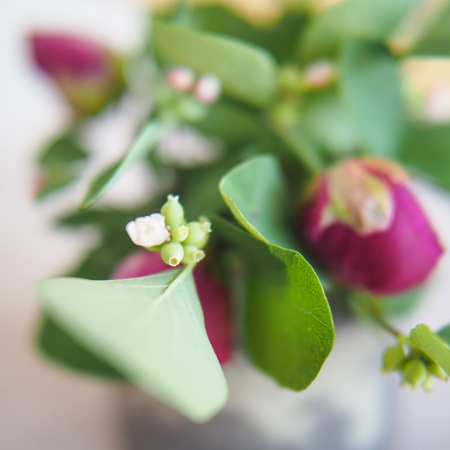 Sōen Vase Mini