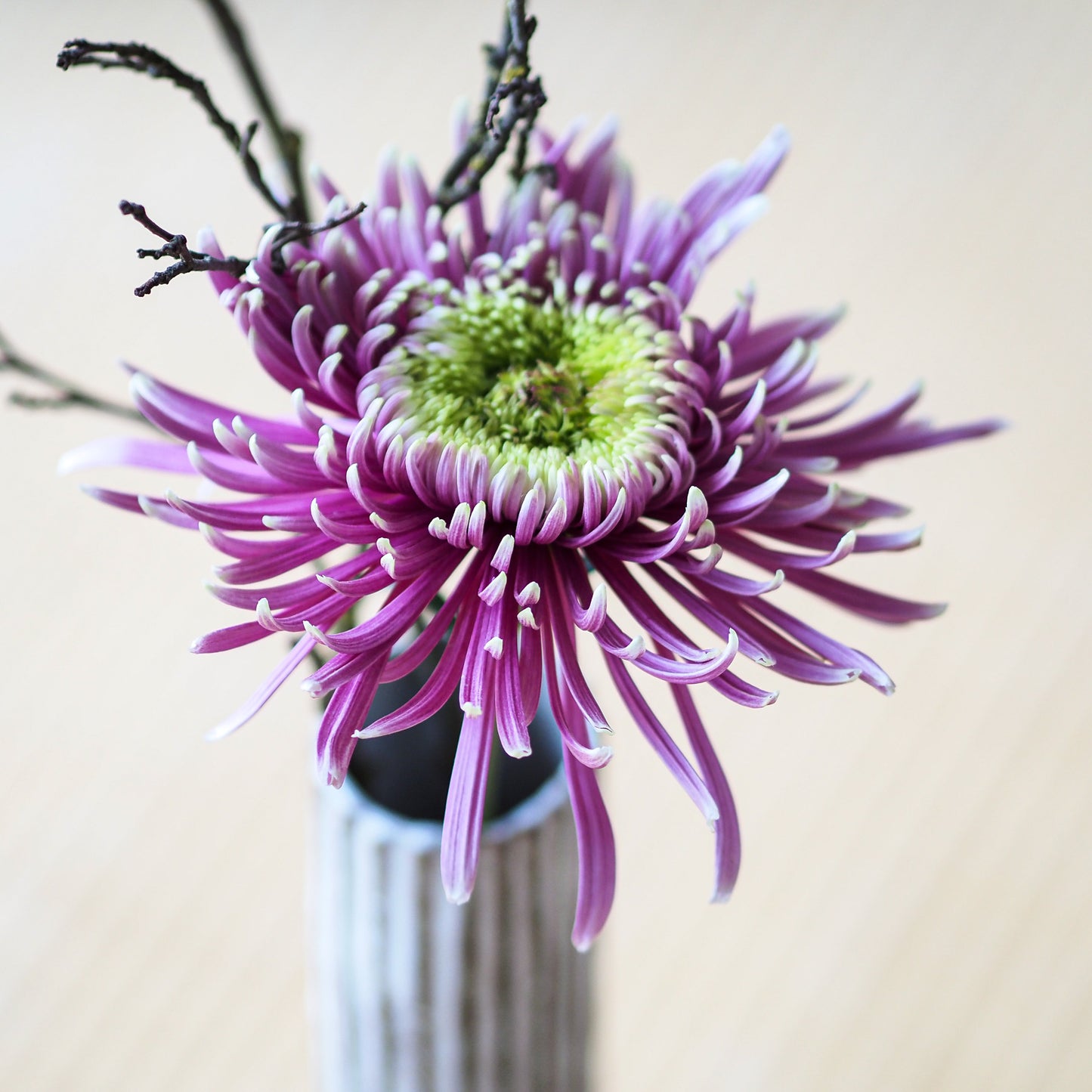 Shimu Vase