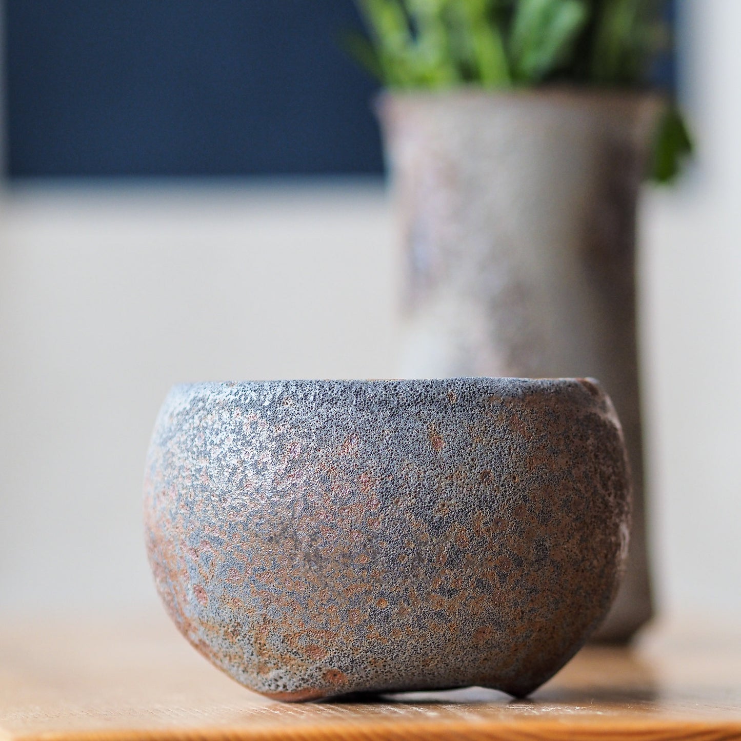Terra Jian Shui