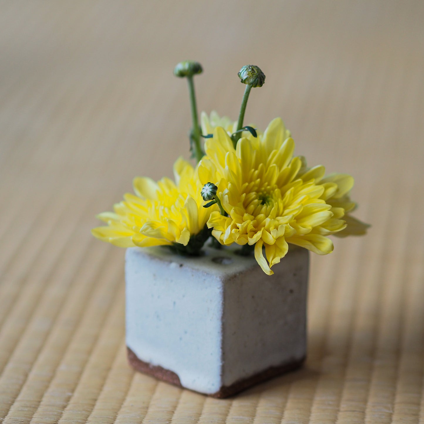 Liva Vase