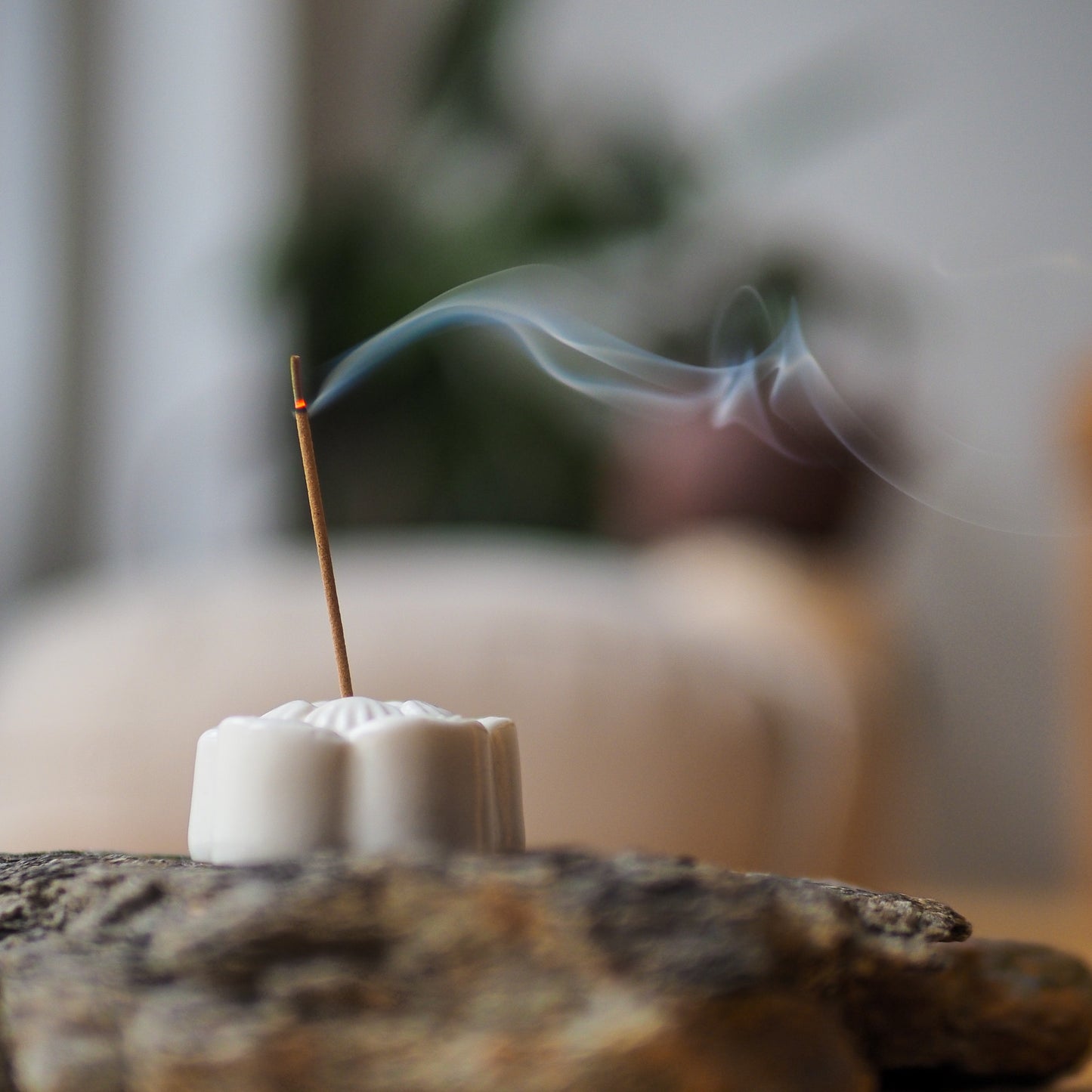 Agarwood Incense Box Set