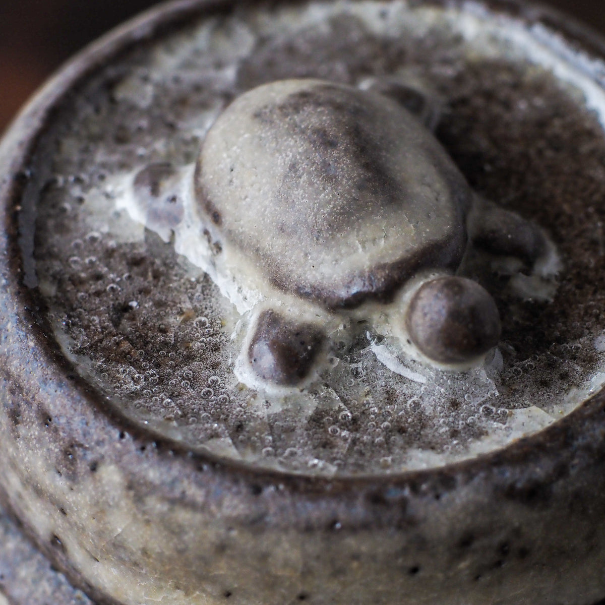Turtle Tea Jar