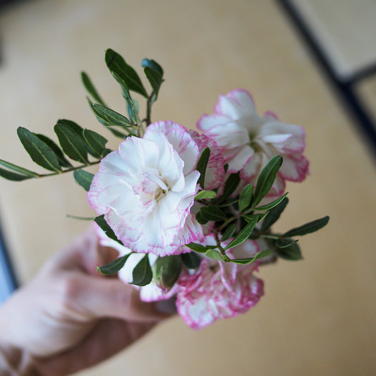 Seru Vase