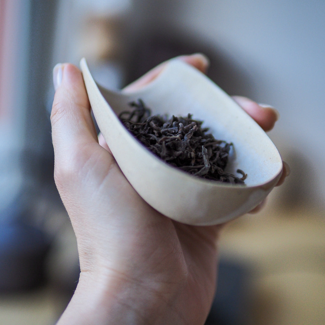 Ivory Petal Scoop