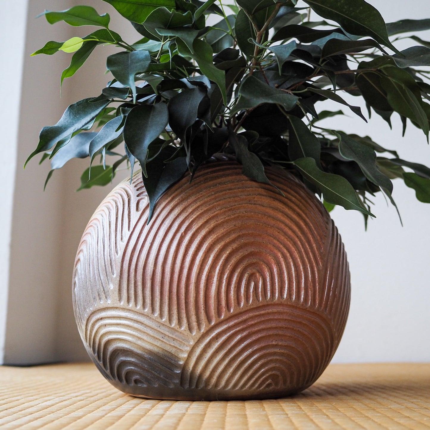 Woodfired Seigai Ha Vase