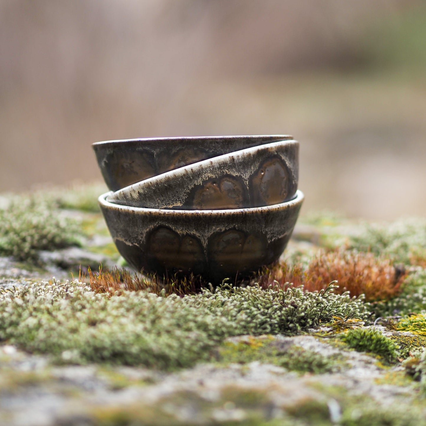 5 Kokuyō Bowls In A Travel Bag