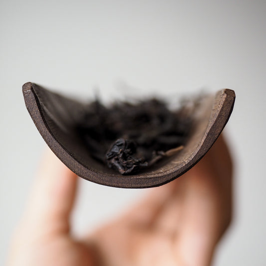 Dark Walnut Scoop