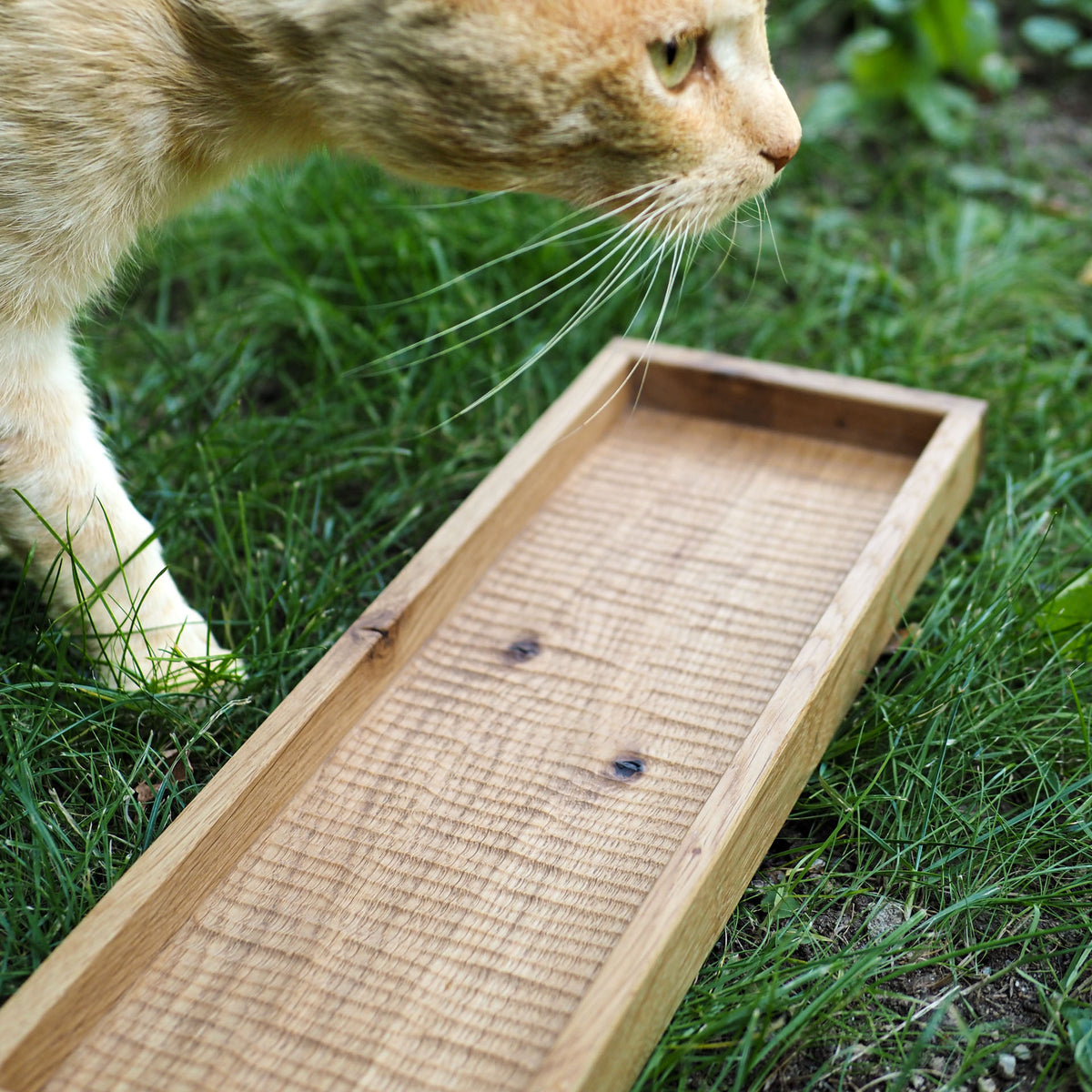 Oak Tea Tray