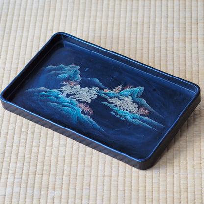 Black Lacquer Tray