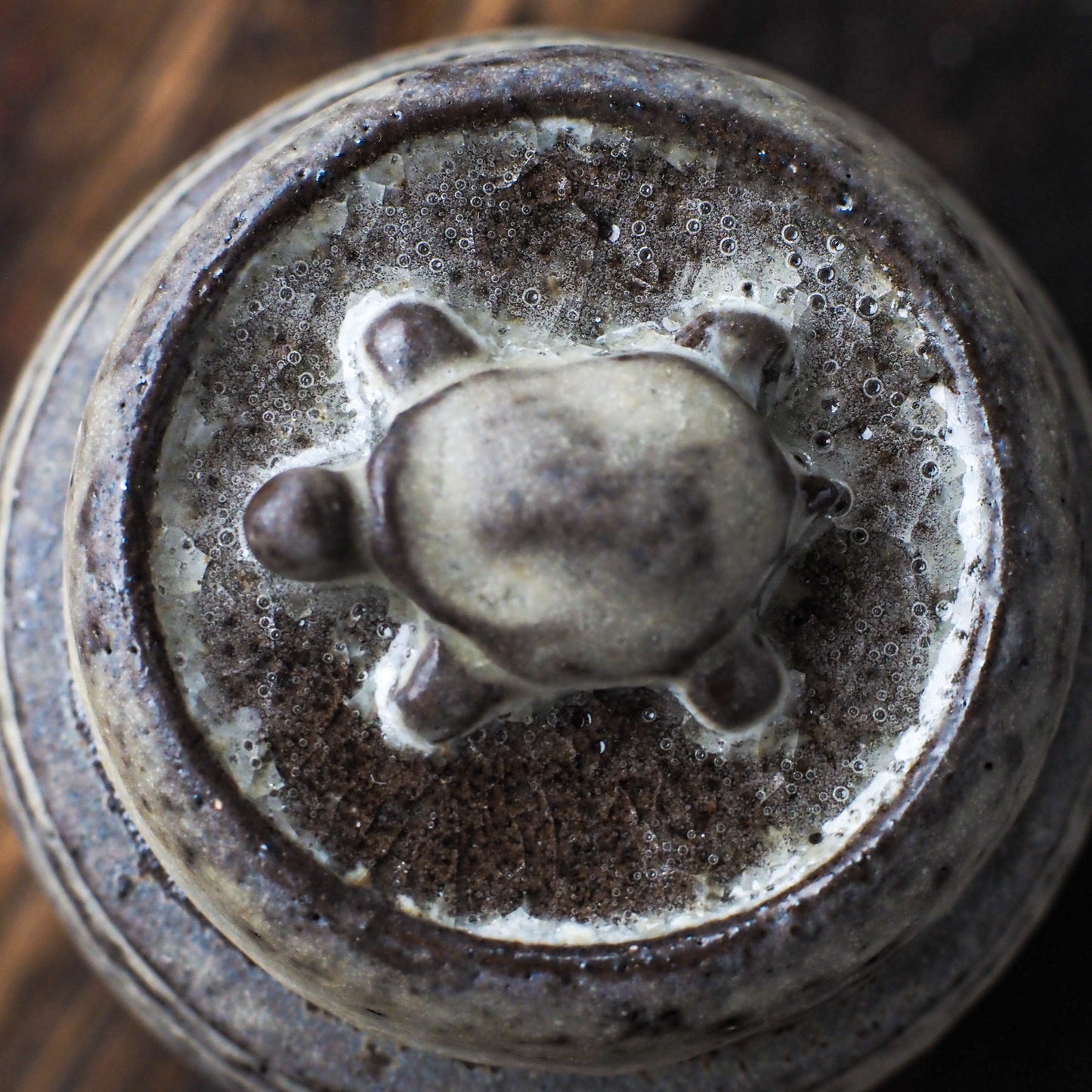 Turtle Tea Jar