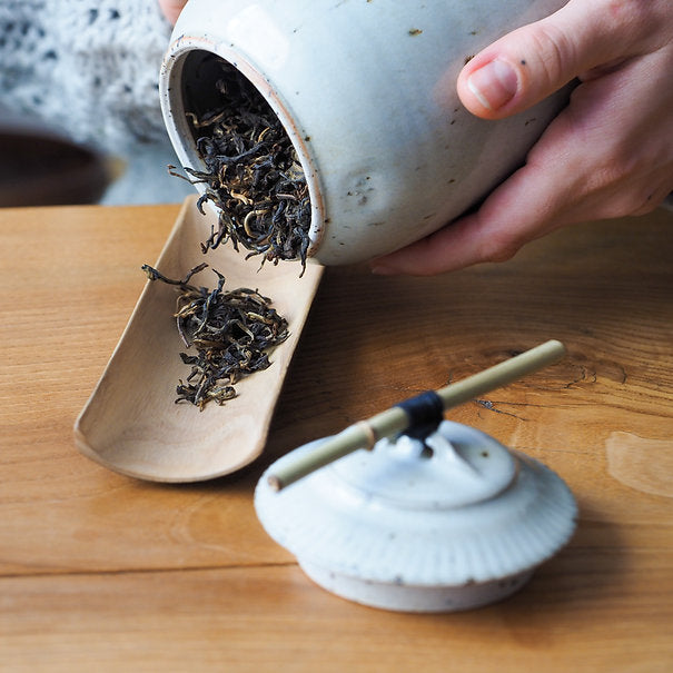 Tanuki Tea Jar