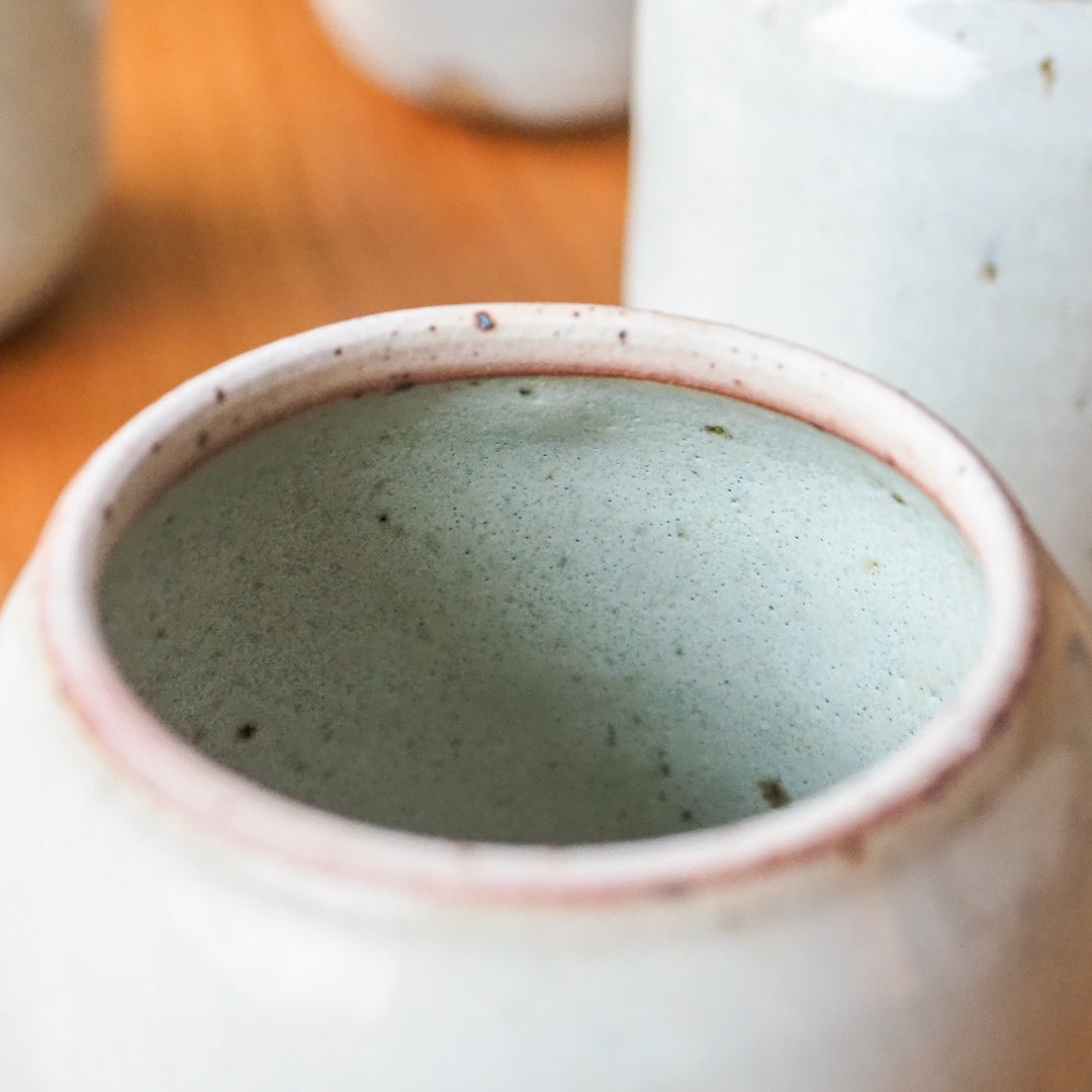 Tanuki Tea Jar